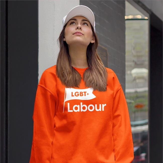 LGBT+ Labour Shirt