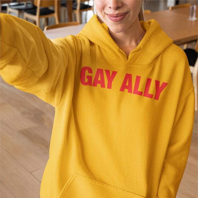 Ogbff Merch Gay Ally Hoodie Juliafoxsource