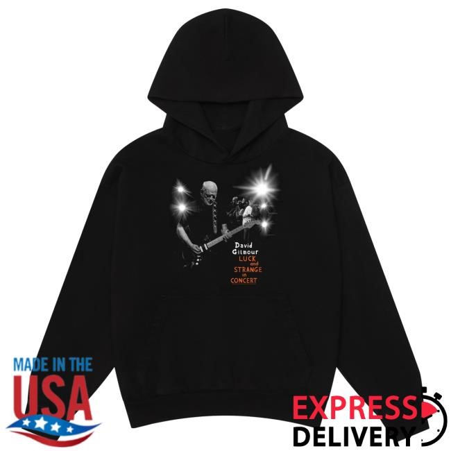 David Gilmour Luck and Strange in Concert Photo Hooded Sweatshirt