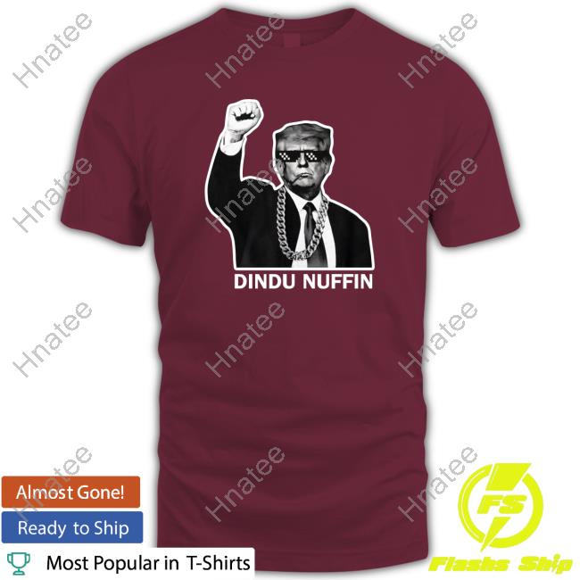 Trump Dindu Nuffin Hoodie