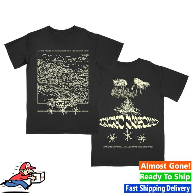 Official Hello Merch Indigo De Souza Truth Black Attractive Shirt HelloMerch