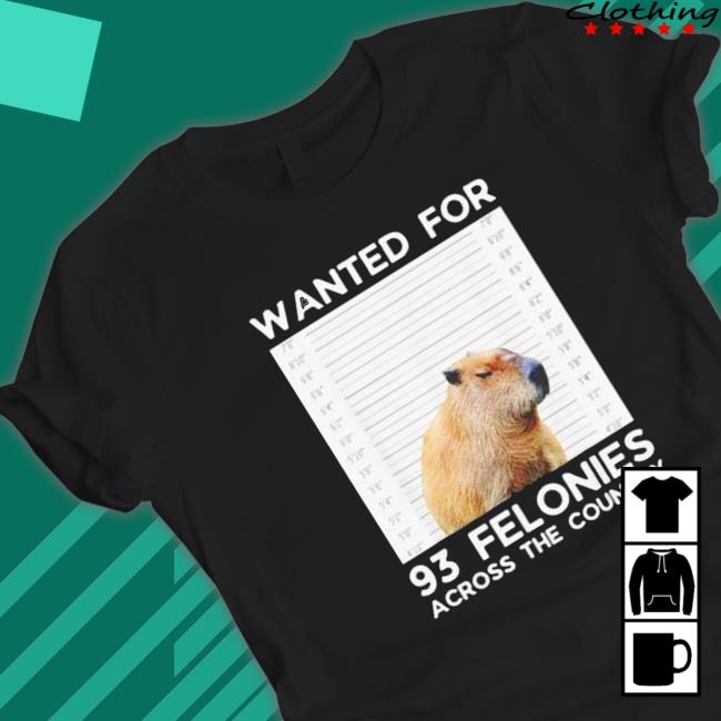 Capybara mugshot wanted for 93 felonies across the country Hoodies