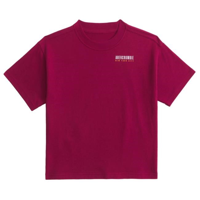 Modern Ypb Graphic Logo Tee Retro Abercrombie And Fitch Motion Apparel
