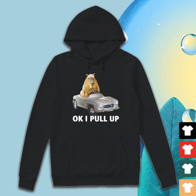 Capy Car Ok I Pull Up Sweatshirt
