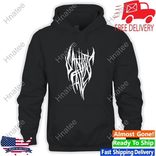 Sally Face Merch Sanity Falls T Shirts Portablemoose