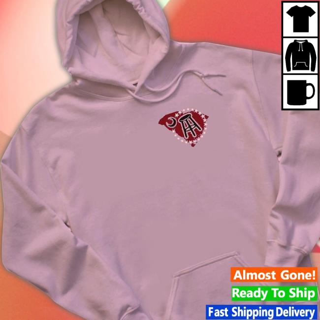 we lost to south carolina bowl Long Sleeve Tee