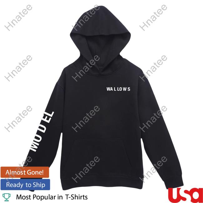 Official Wallows Merch Shop 'Model' Album Pullover Hoodie