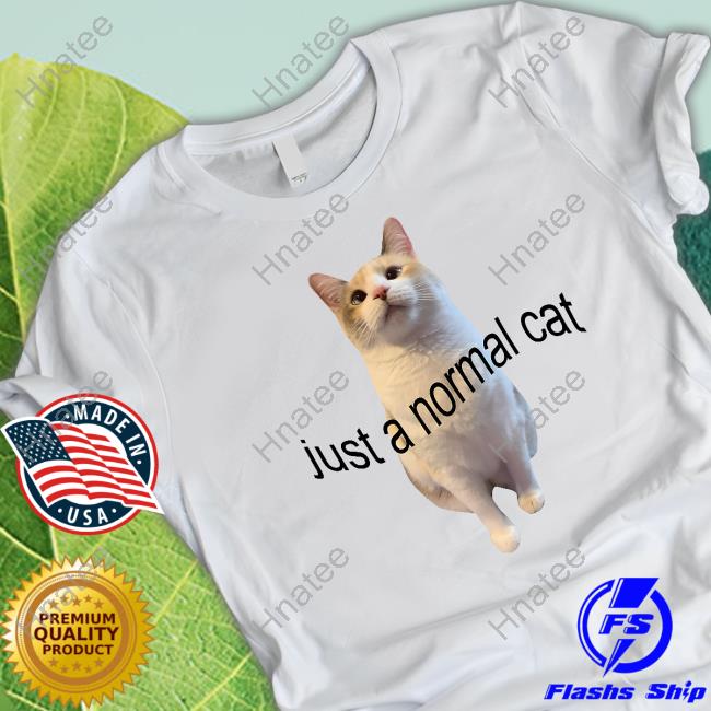 Just A Normal Cat Hoodie