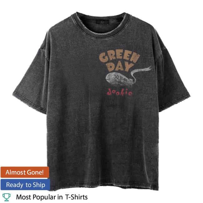 Green Day Merch Dookie Blimp Oversized Vintage Long Sleeve