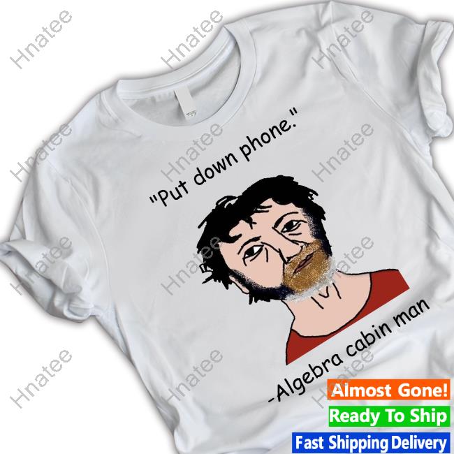 Put Down Phone Algebra Cabin Man Tee Shirt