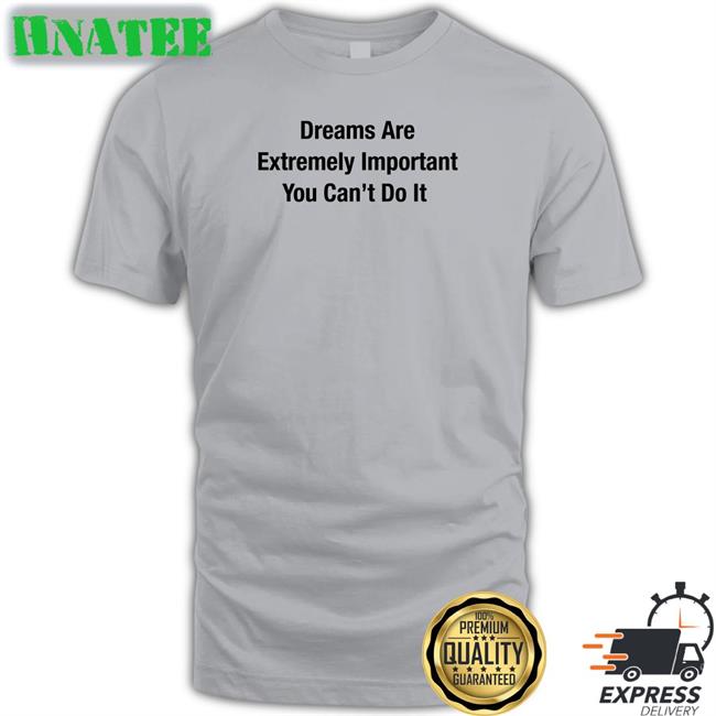 Dreams Are Extremely Important You Can't Do It Hoodie Poorly Translated Shirts Translatedtees