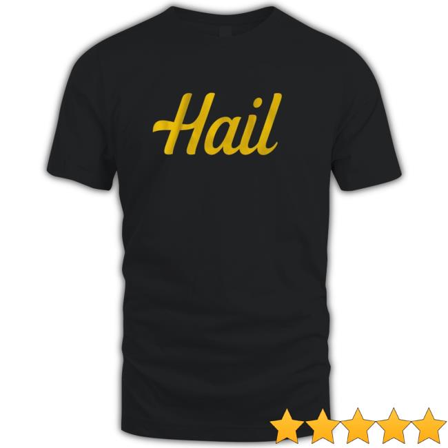 Official Michigan Wolverines Hail T-Shirt