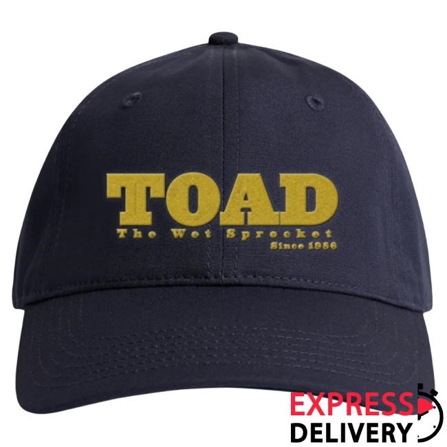 Toad the Wet Sprocket Gold Logo Embroidered Cap Tour Icon