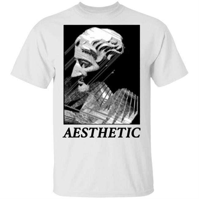 Aesthetic graphic tees Shirts aesthetic clothing men t shirt