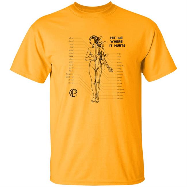 Caroline Polachek Hit Me Where It Hurts T Shirt Caroline Polachek Hit Me Where It Hurts T Shirt