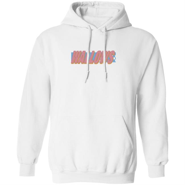 Wallows Warped Logo Hoodie Wallows Store