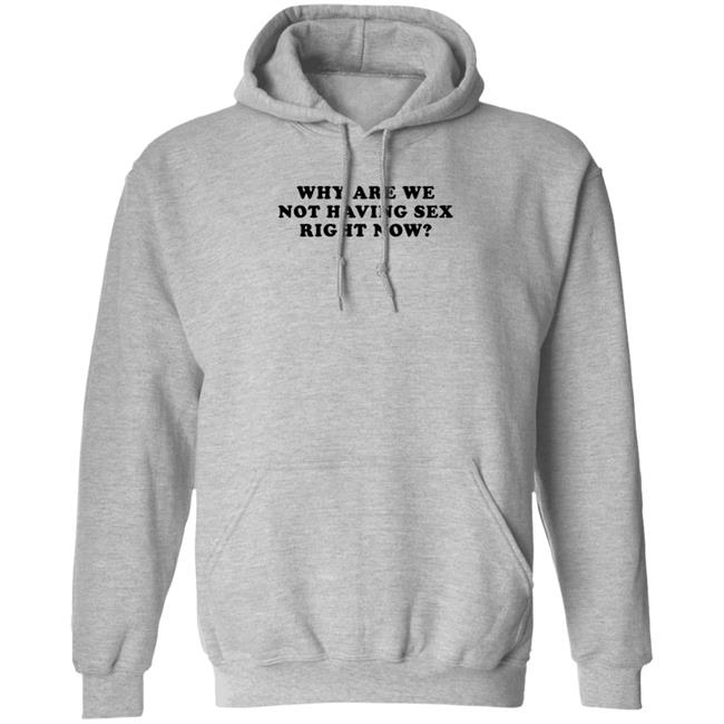 Why Are We Not Having Sex Right Now T Shirt Chloe Temple Duc - Why Are We Not Having Sex Right Now T Shirt Chloe Temple
