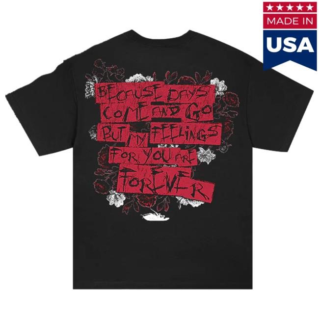 Official Papa Roach Heart & Roses Hot Shirt (Black)