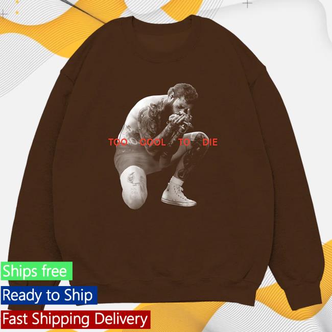Official Post Malone Merch Store Post Malone Too Cool To Die Hoodie Post Malone Apparel Clothing Shop PostMalone