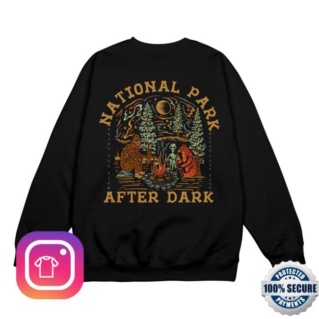 Fanjoy Merch National Park After Dark Npad Cryptid Campfire Black Bear Pullover Hoodie